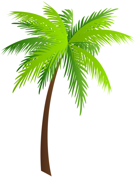 This png image - Palm PNG Clip Art Image, is available for free download