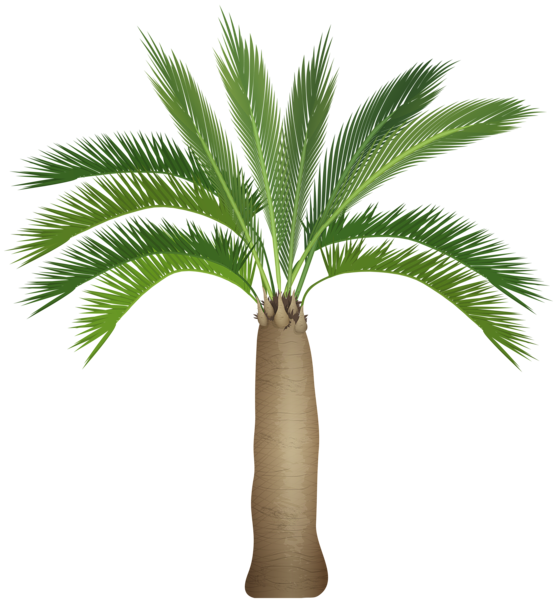 This png image - Palm Tree PNG Clip Art Image, is available for free download