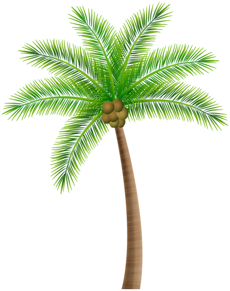 This png image - Palm Tree PNG Clipart, is available for free download