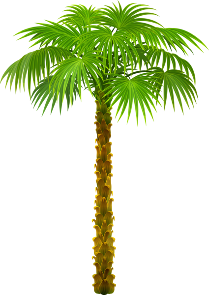 This png image - Palm Tree PNG Clipart Picture, is available for free download