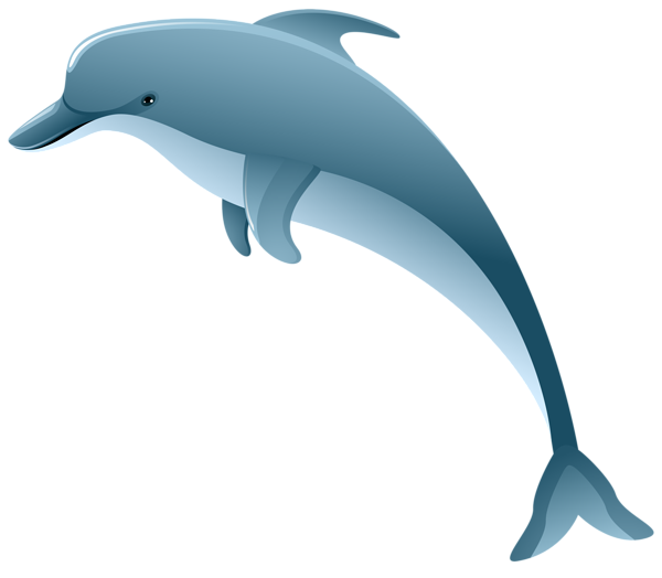 This png image - Dolphin PNG Clip Art Image, is available for free download