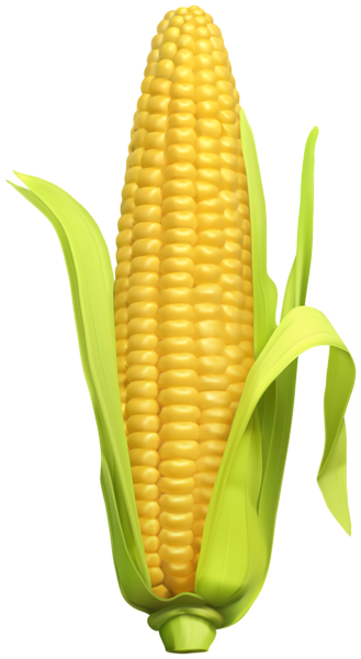 This png image - Corn Clip Art Image, is available for free download