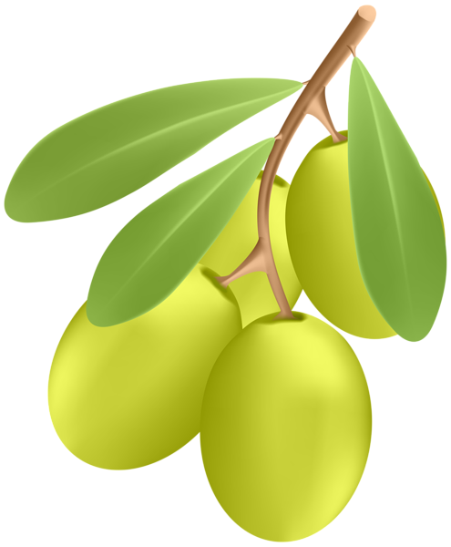 This png image - Green Olives PNG Transparent Clipart, is available for free download