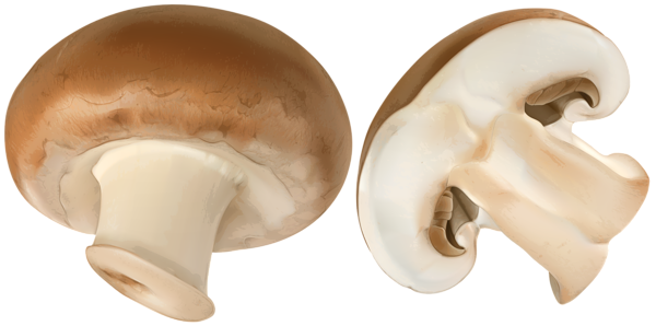 This png image - Sliced Brown Mushroom PNG Clip Art Image, is available for free download