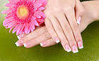 Beautiful French Manicure Background