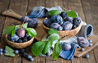 Plums with Blackberry Background