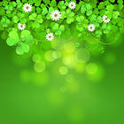 Shamrocks and Flowers Background