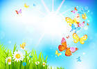 Spring Butterflies Background