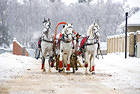 Winter Background with Horses