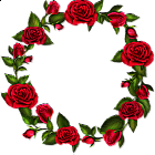 Circle Roses Transparent Frame