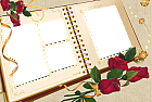 Large Transparent Album Frame with Roses