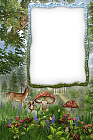 Transparent Forest Frame