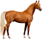 Transparent Horse PNG Clipart