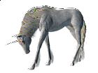 Beautiful Unicorn Transparent Clipart