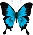 Blue Butterfly PNG Clip Art Image