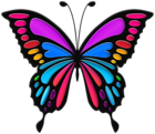 Colorful Butterfly PNG Clip Art Image