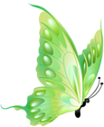 Green Butterfly Transparent PNG Clipart