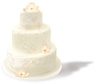 Wedding Cake PNG Picture