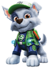 Rocky PAW Patrol PNG Cartoon Image