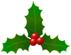 Christmas Holly Clip Art Image