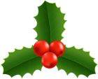 Christmas Holly Clip Art PNG Image