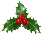 Christmas Holly Mistletoe PNG Clip-Art Image