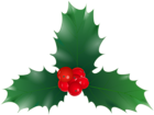 Christmas Holly PNG Clipart