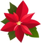 Christmas Poinsettia PNG Clip Art