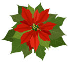 Christmas Poinsettia PNG Clipart