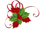 Christmas Red Green Mistletoe PNG Picture