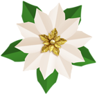 Christmas White Poinsettia PNG Clip Art Image