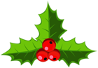 Decorative Holly Clip Art Image