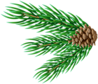 Fir Branch Corner Decor PNG Clipart