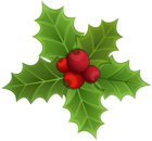 Mistletoe PNG Clipart Image