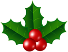 Mistletoe PNG Transparent Clipart