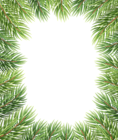 Pine Border Clip Art Image