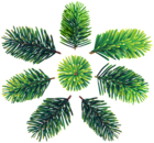 Pine Branches Set Clip Art Image