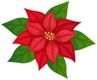 Poinsettia PNG Transparent Clipart