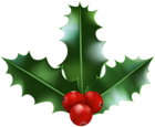 Xmas Holly PNG Clipart