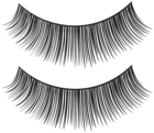 Eyelash Strips PNG Transparent Clip Art Image