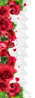 Decorative Elements PNG
