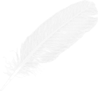 Large White Transparent Feather PNG Clipart