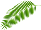 Palm Branch Transparent Clip Art Image