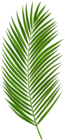 Palm Leaf PNG Clipart