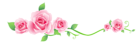 Transparent Roses Decoration PNG Picture