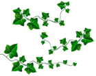 Vine Leaves Decoration PNG Clipart Picture