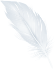 White Feather PNG Clipart