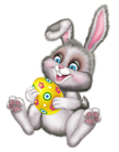 Cute Easter Bunny with Egg PNG Picture