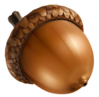 Acorn PNG Clipart Image