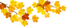 Autumn Branch PNG Clipart